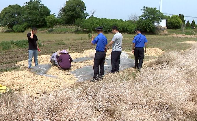 还想偷偷燃烧秸秆？凯发k8国际首页登录监控24小时盯着呢！